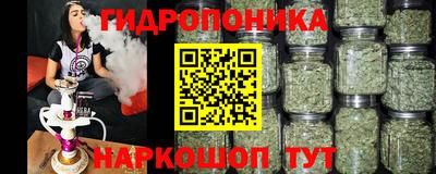 бошки Анжеро-Судженск