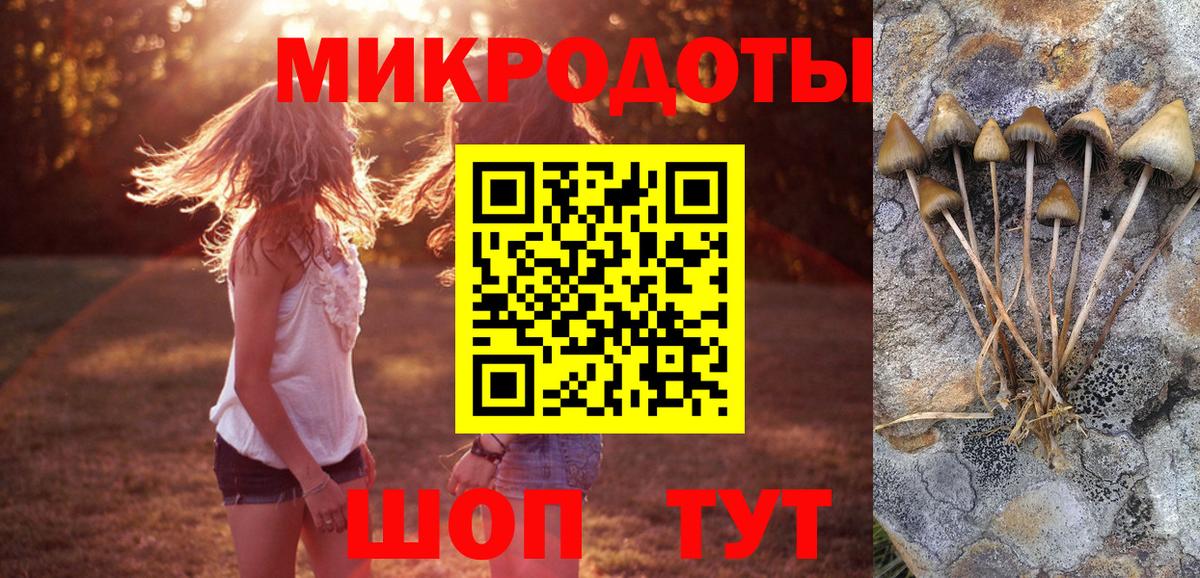 Галлюциногенные грибы Psilocybine cubensis  где продают   Дербент  Вход с VPN 