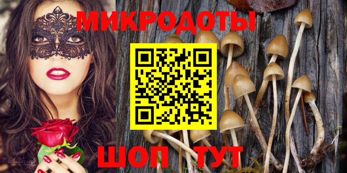Псилоцибиновые грибы прущие грибы Дербент